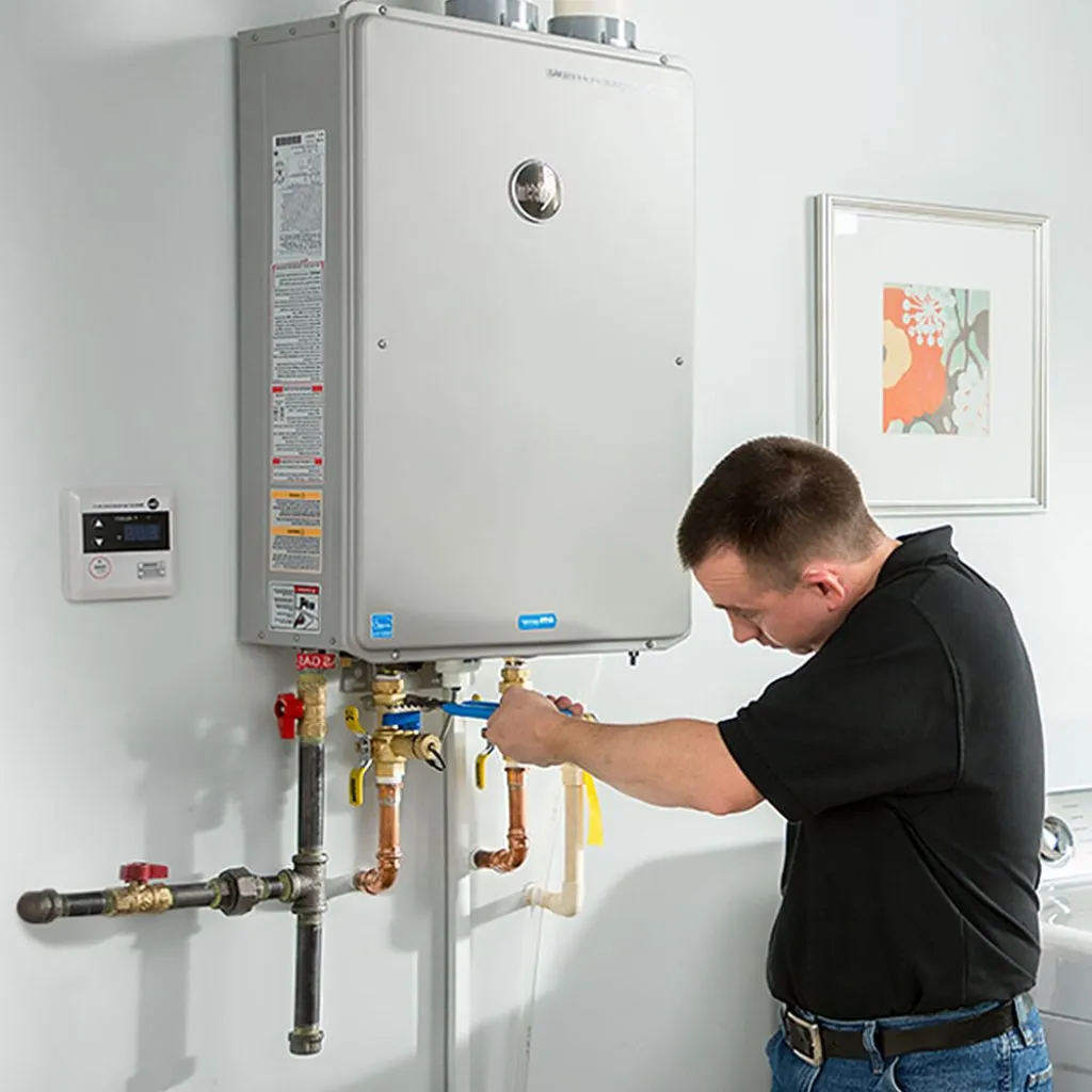 tankless water heater repair in Frannie, WY